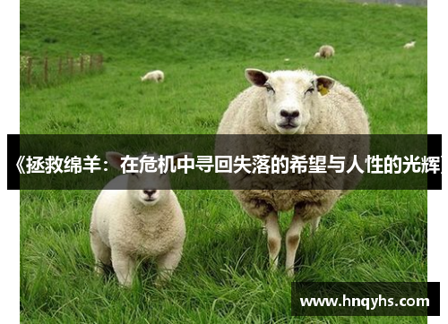 《拯救绵羊:在危机中寻回失落的希望与人性的光辉》 《拯救绵羊:在危机中寻回失落的希望与人性的光辉》
